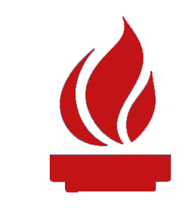 American Jail Association Logo